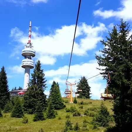 Apartment Snezhanka Pamporovo Dış mekan fotoğraf